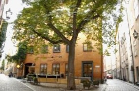 Castanea Old Town Hostel