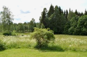 Orsastuguthyrning-Oljonsbyn
